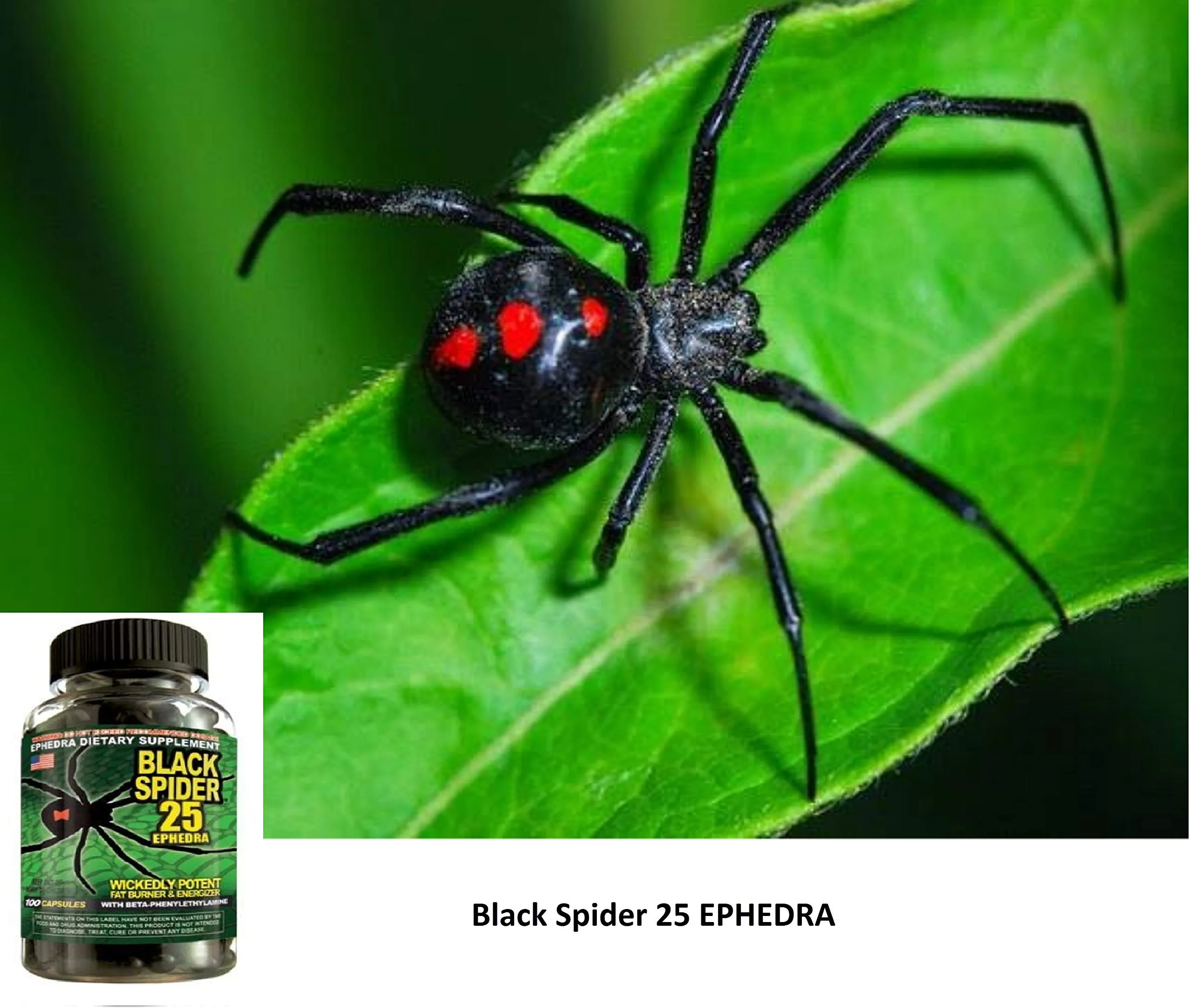 Cloma Pharma Black Spider Fat Burner 100 Caps