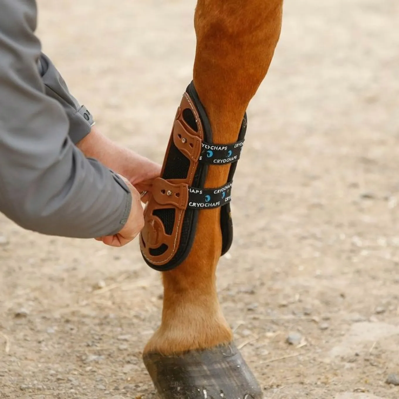 Cryochaps Exoskeleton Tendon Boots - Brown