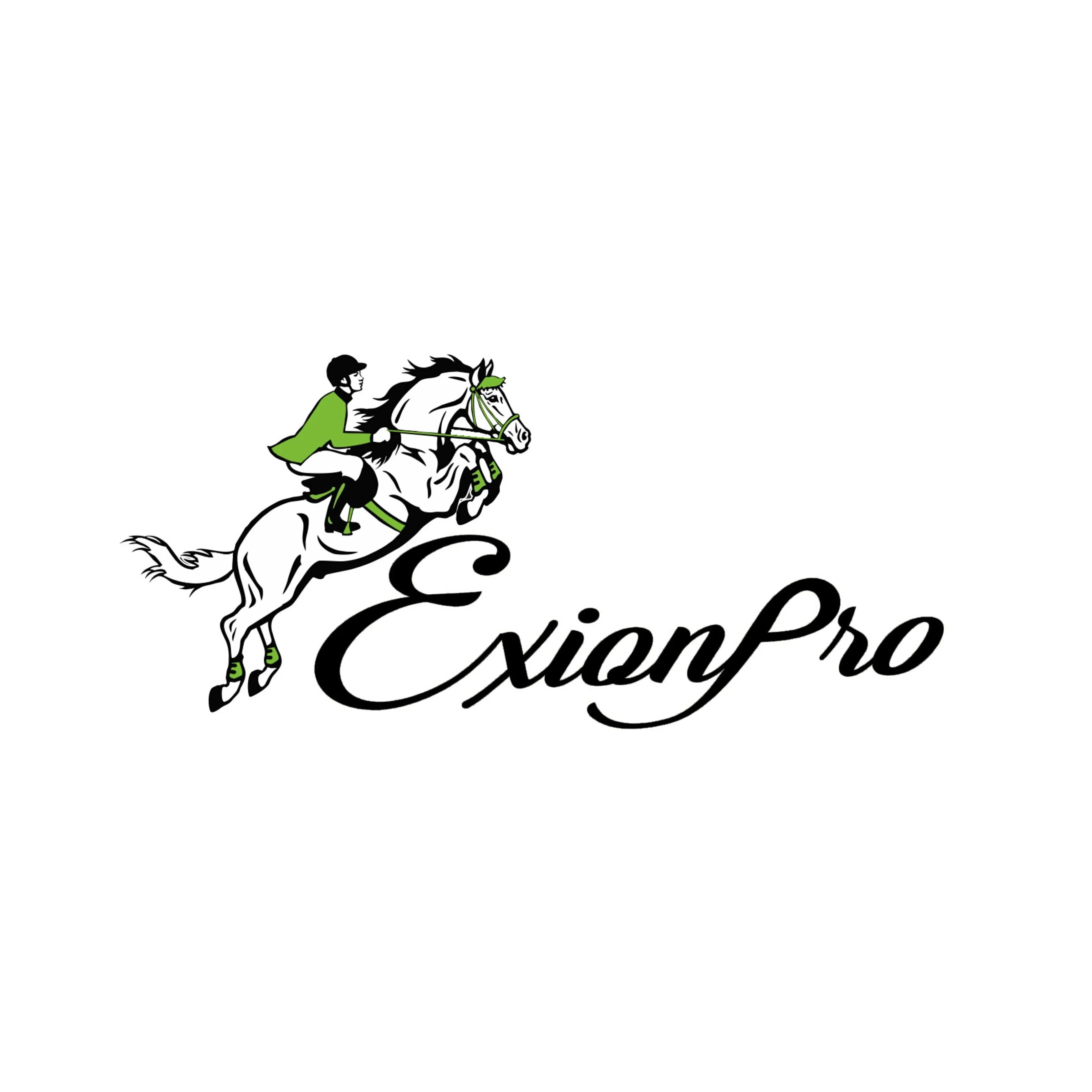 ExionPro Leather Horse Tendon Show Jump Boots - 412