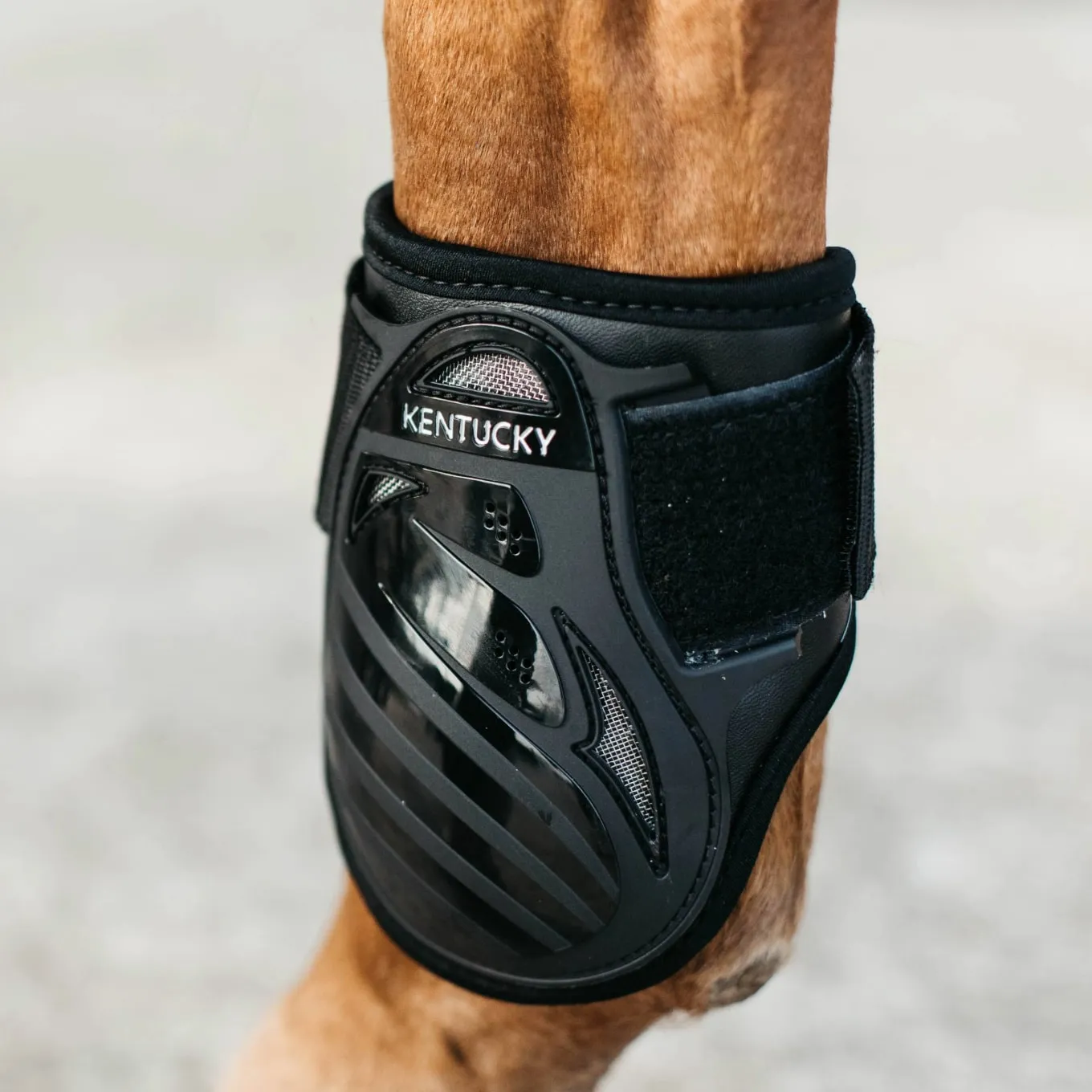 Kentucky Horsewear Young Horse Fetlock Boots Air - Black