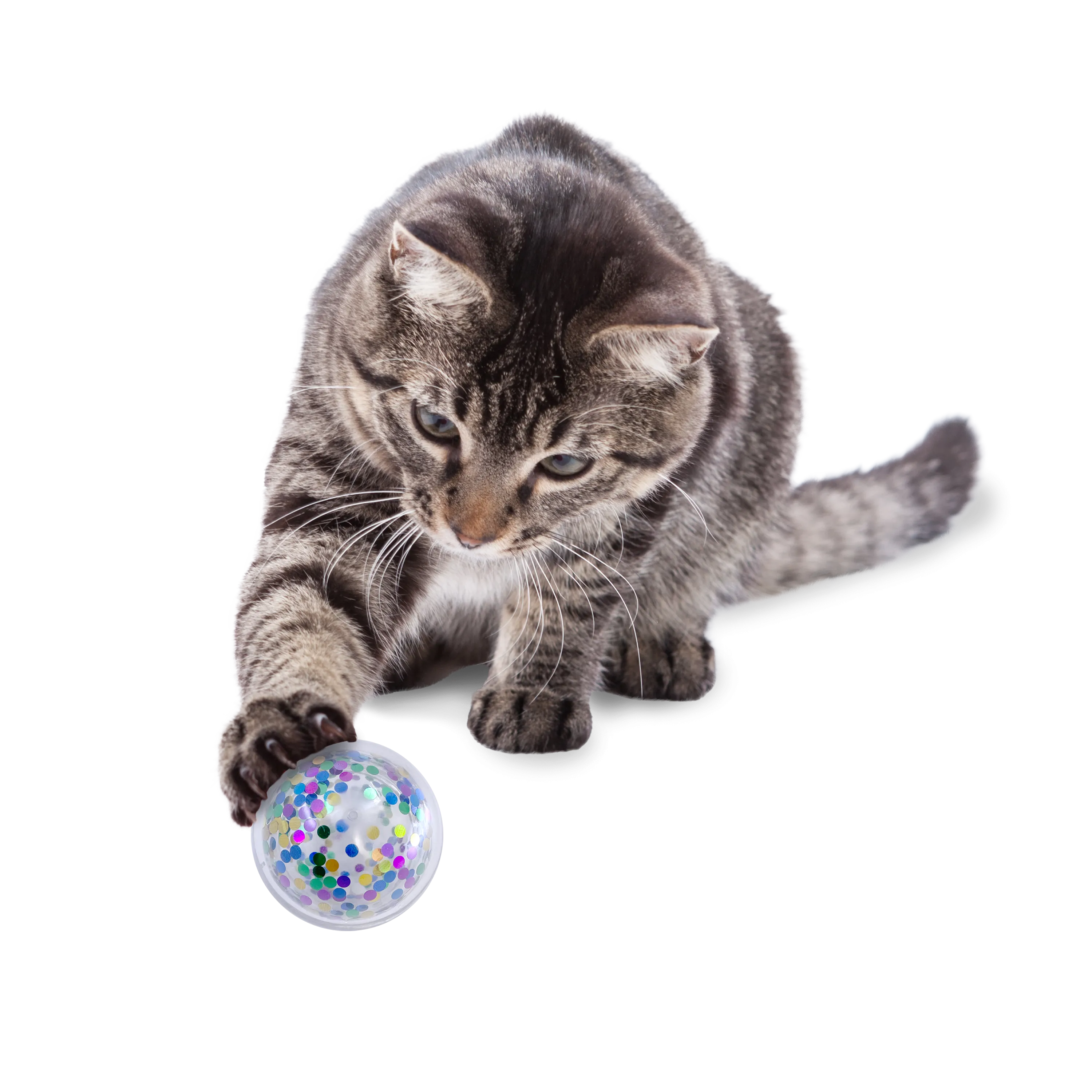 KONG Active Confetti Ball Cat Toy (All Sizes)