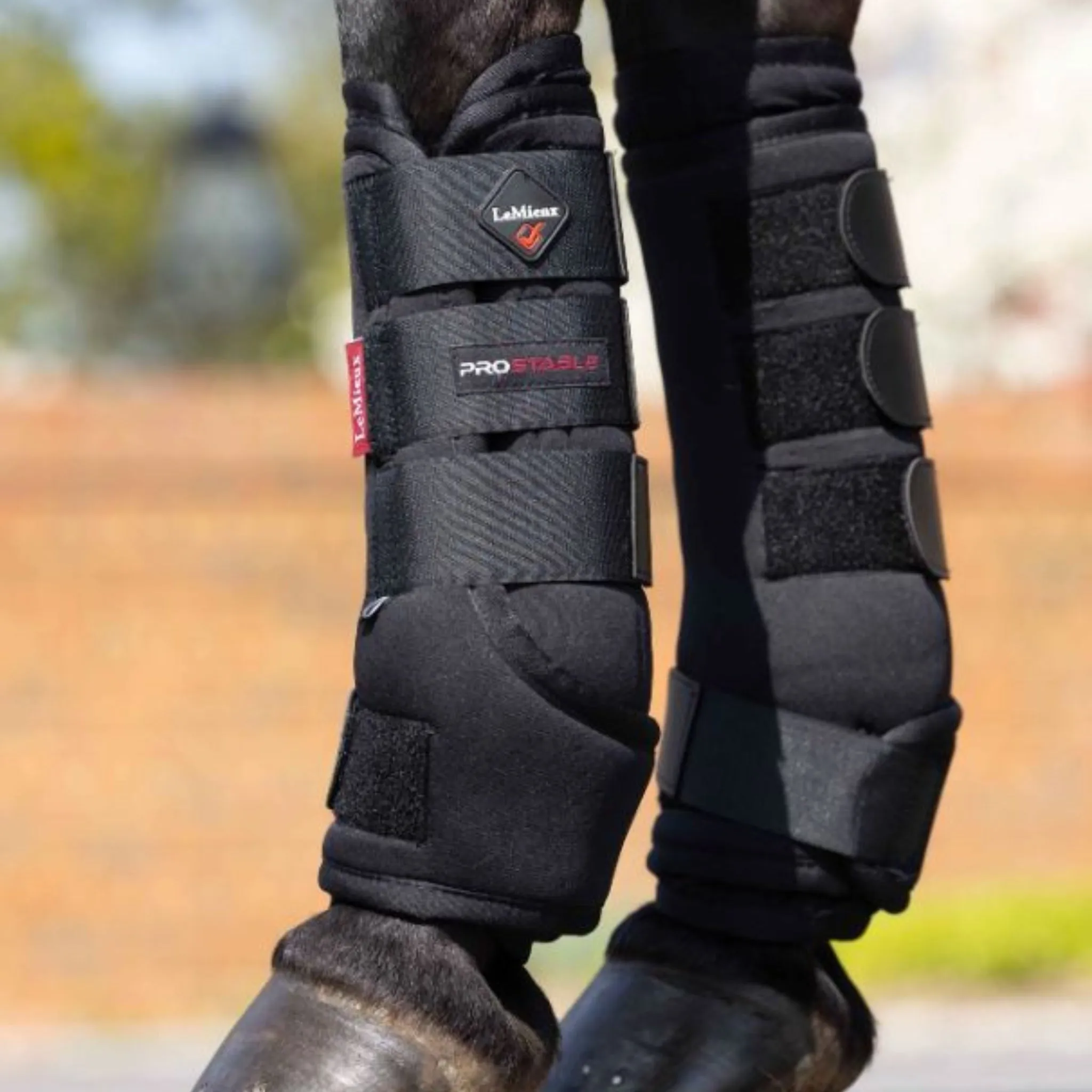 LeMieux Stable Boots