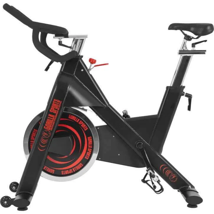 Pro Indoor Racing Bike