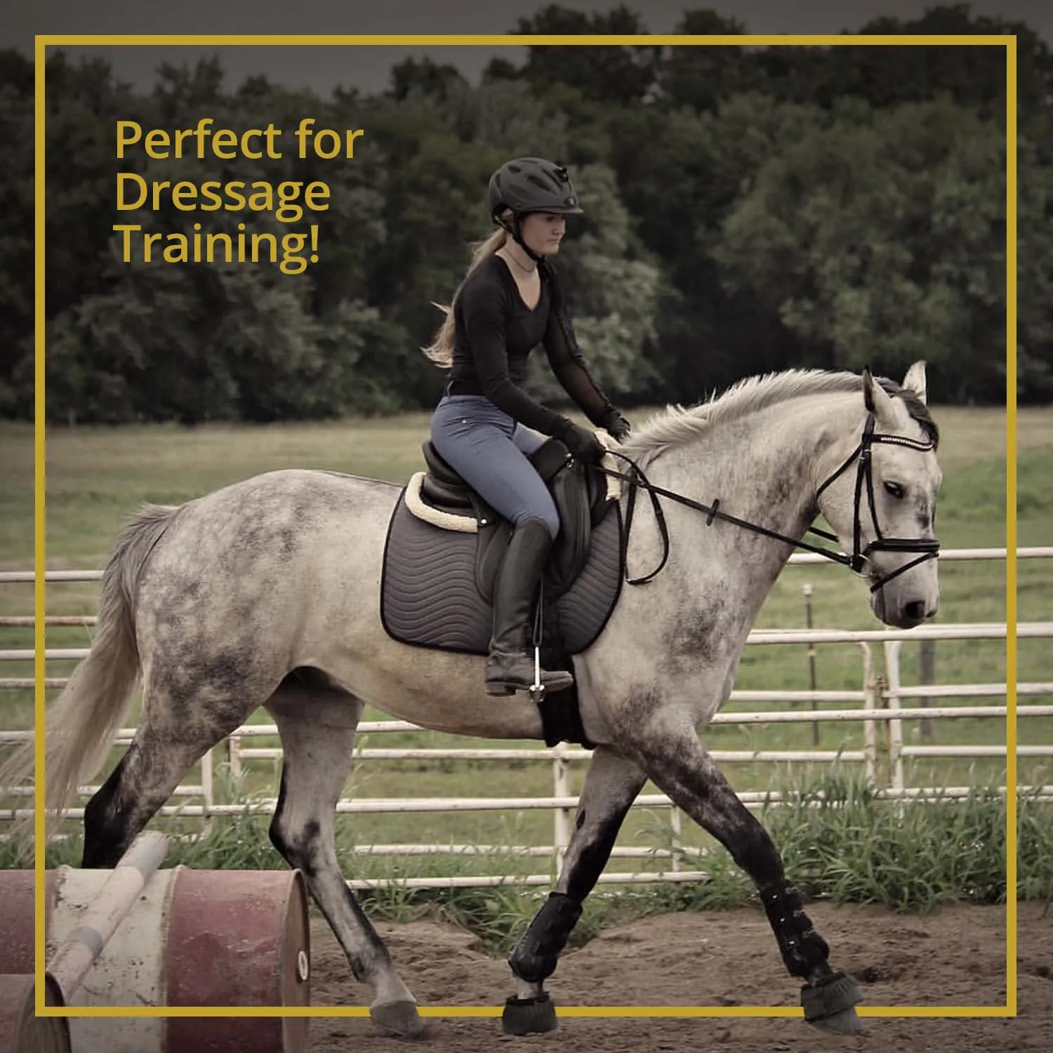 Pro-K Horse Dressage Boots