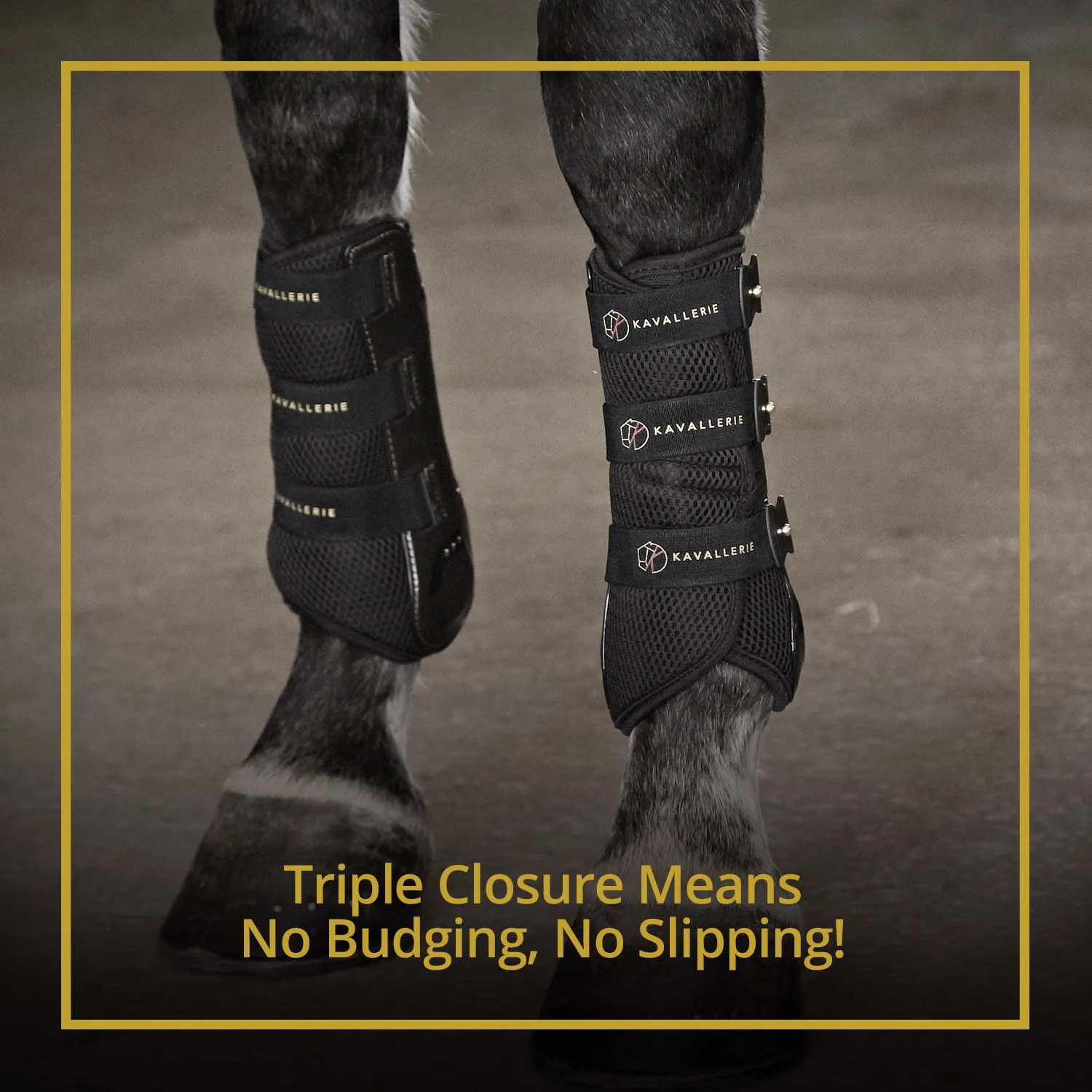 Pro-K Horse Dressage Boots