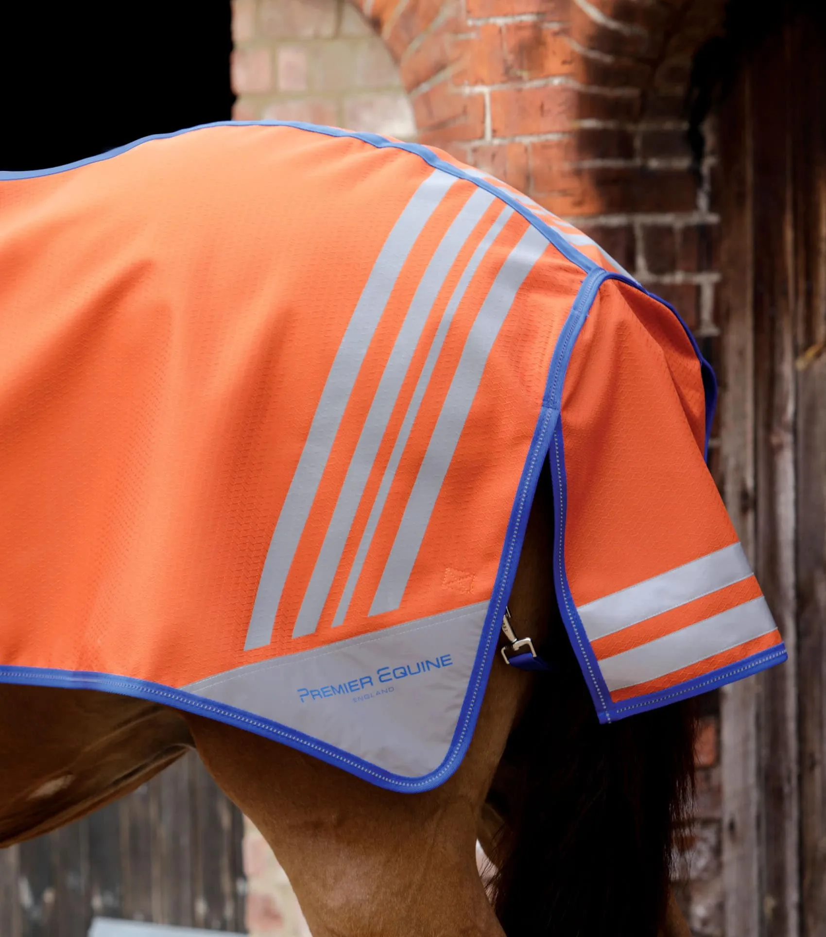 Stratus Horse Exercise Sheet Orange