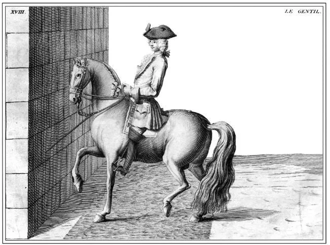 The Art of Riding a Horse or Description of Modern Manège in all It's Perfection by Baron d'Eisenberg fully illustrated with engravings