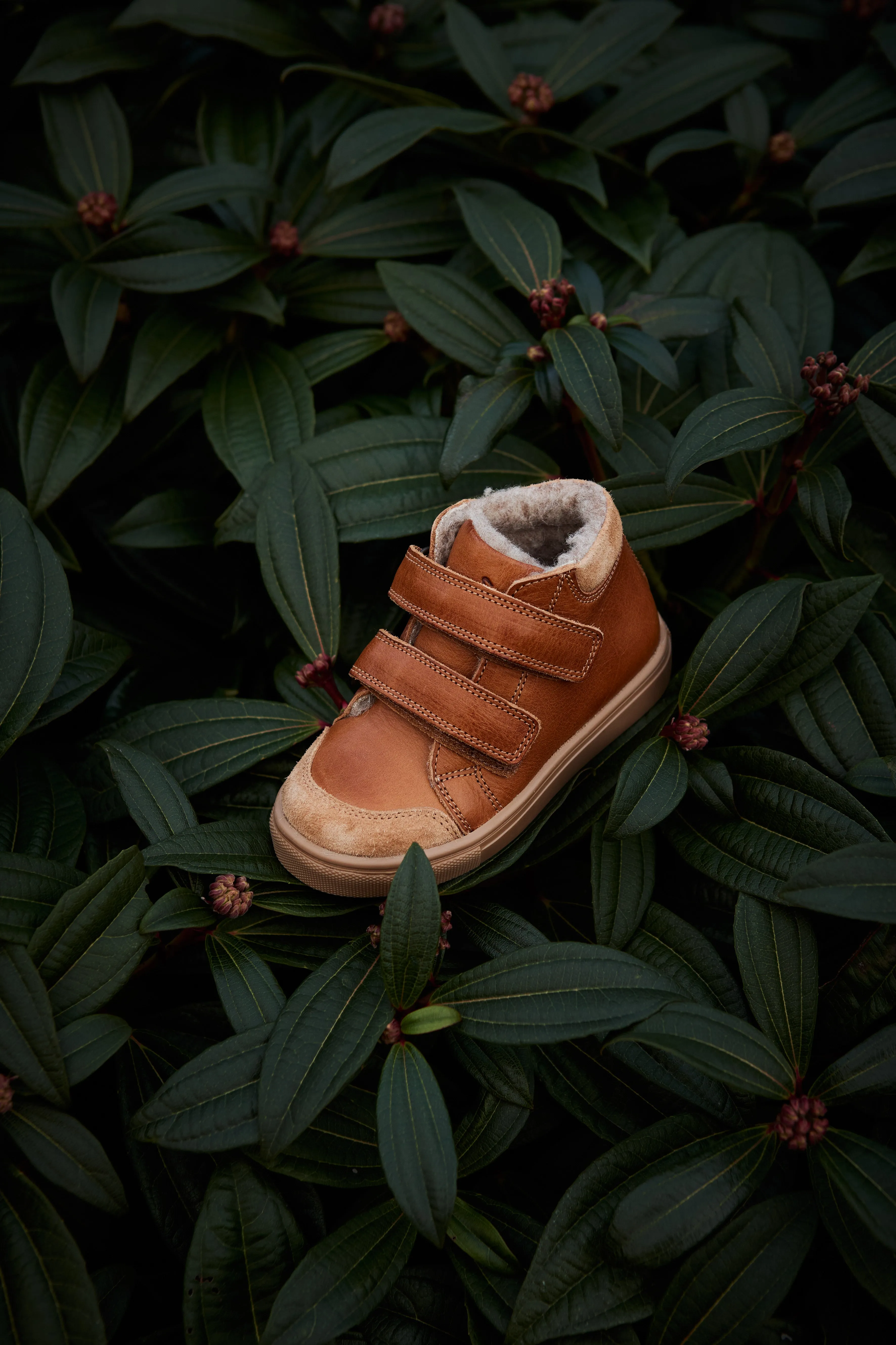 Toasty Sneaker - Cognac